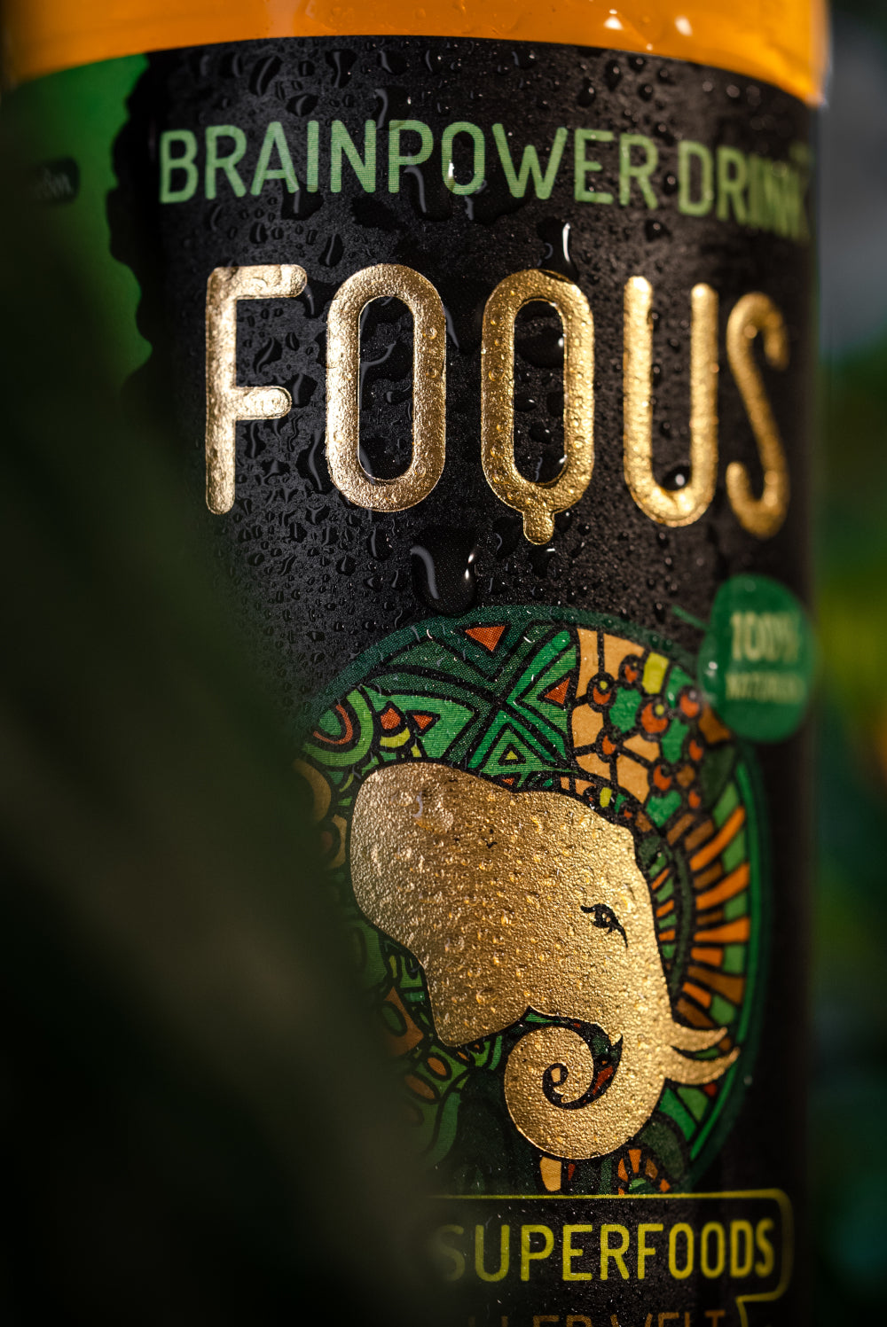 FOQUS - Aus 12 Superfoods