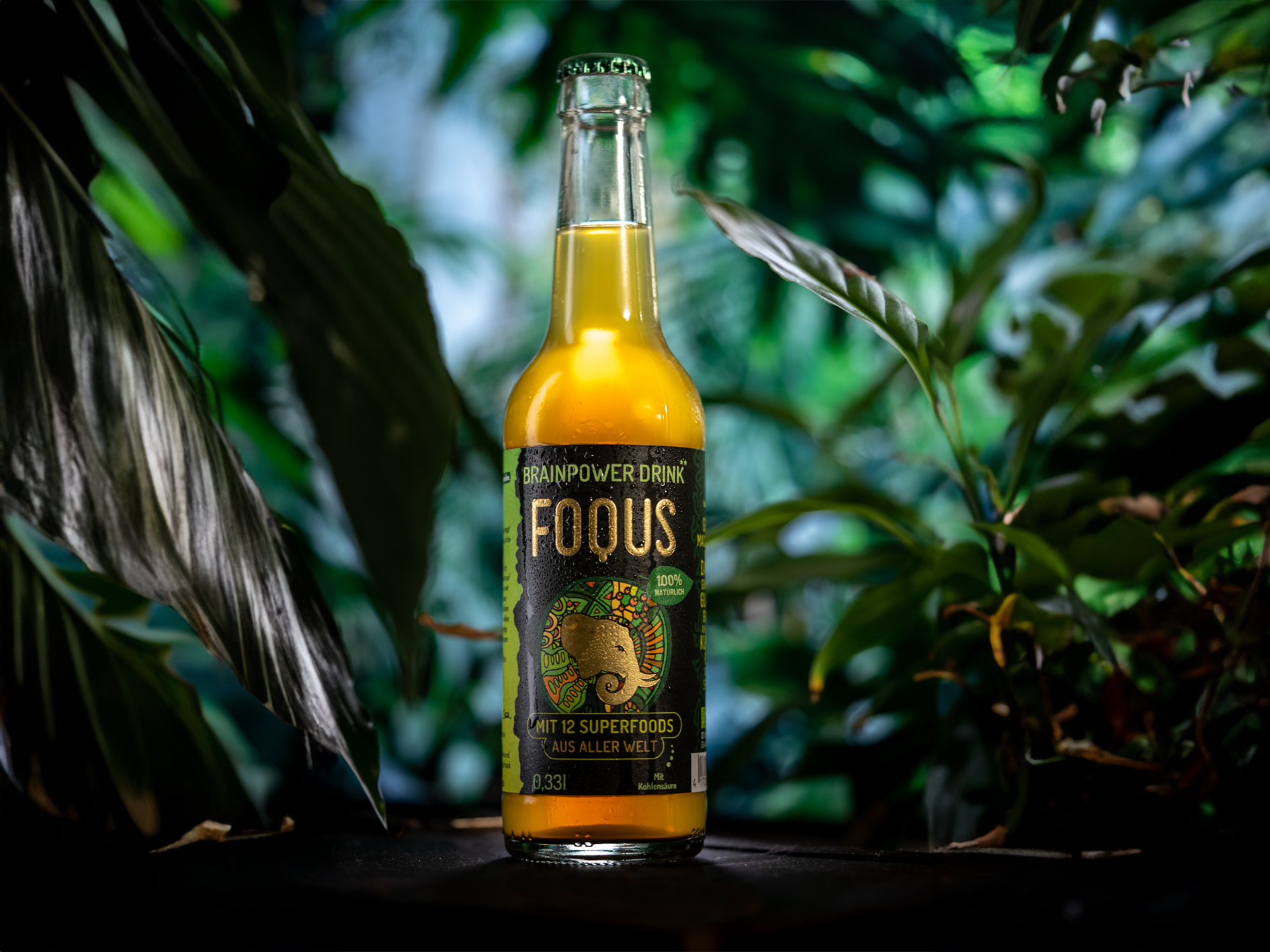 FOQUS - Aus 12 Superfoods