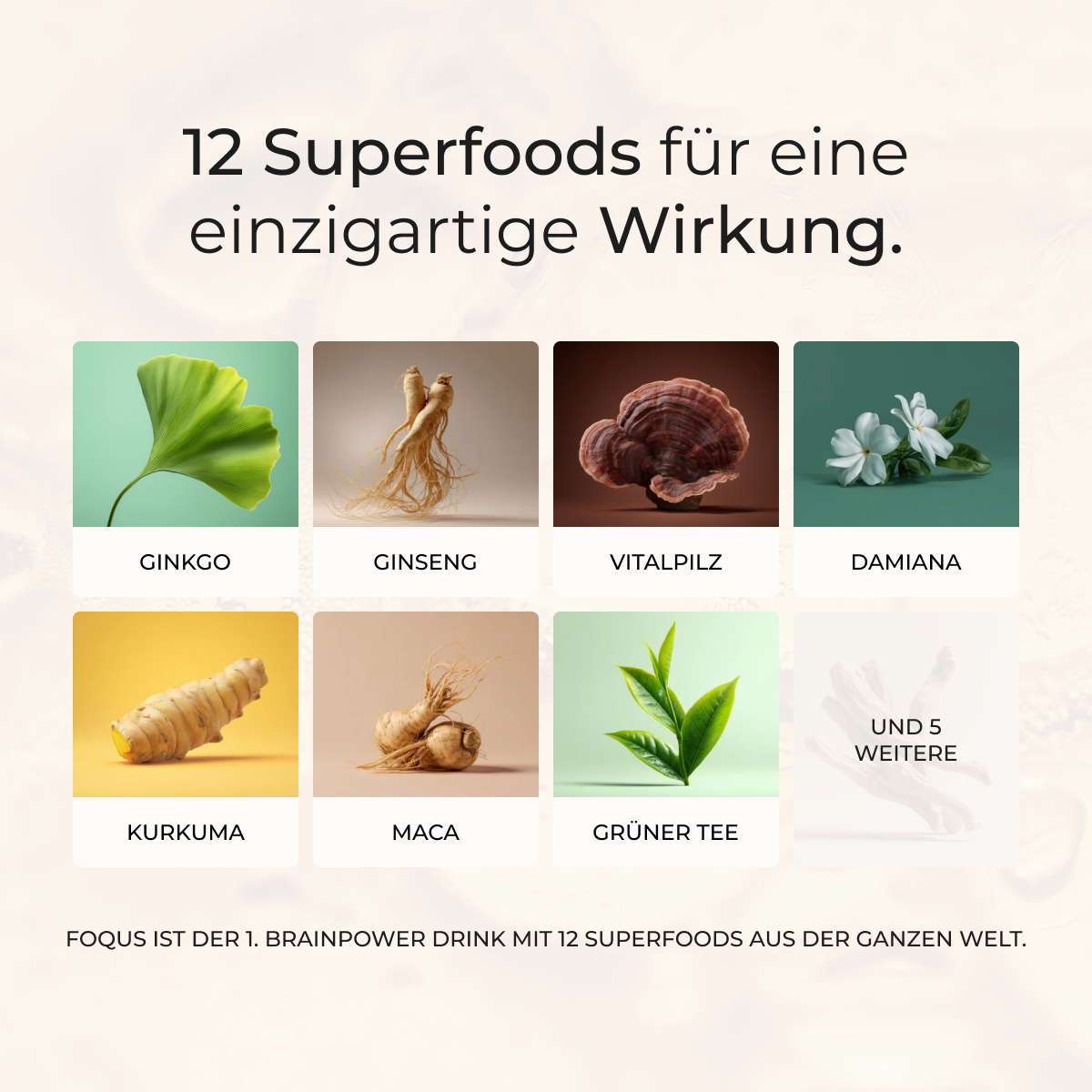 2 Wochen Starter-Set